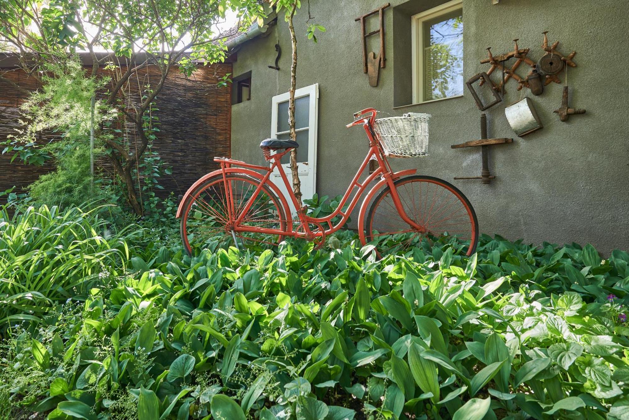 Ana Guesthouse Senta Exterior photo
